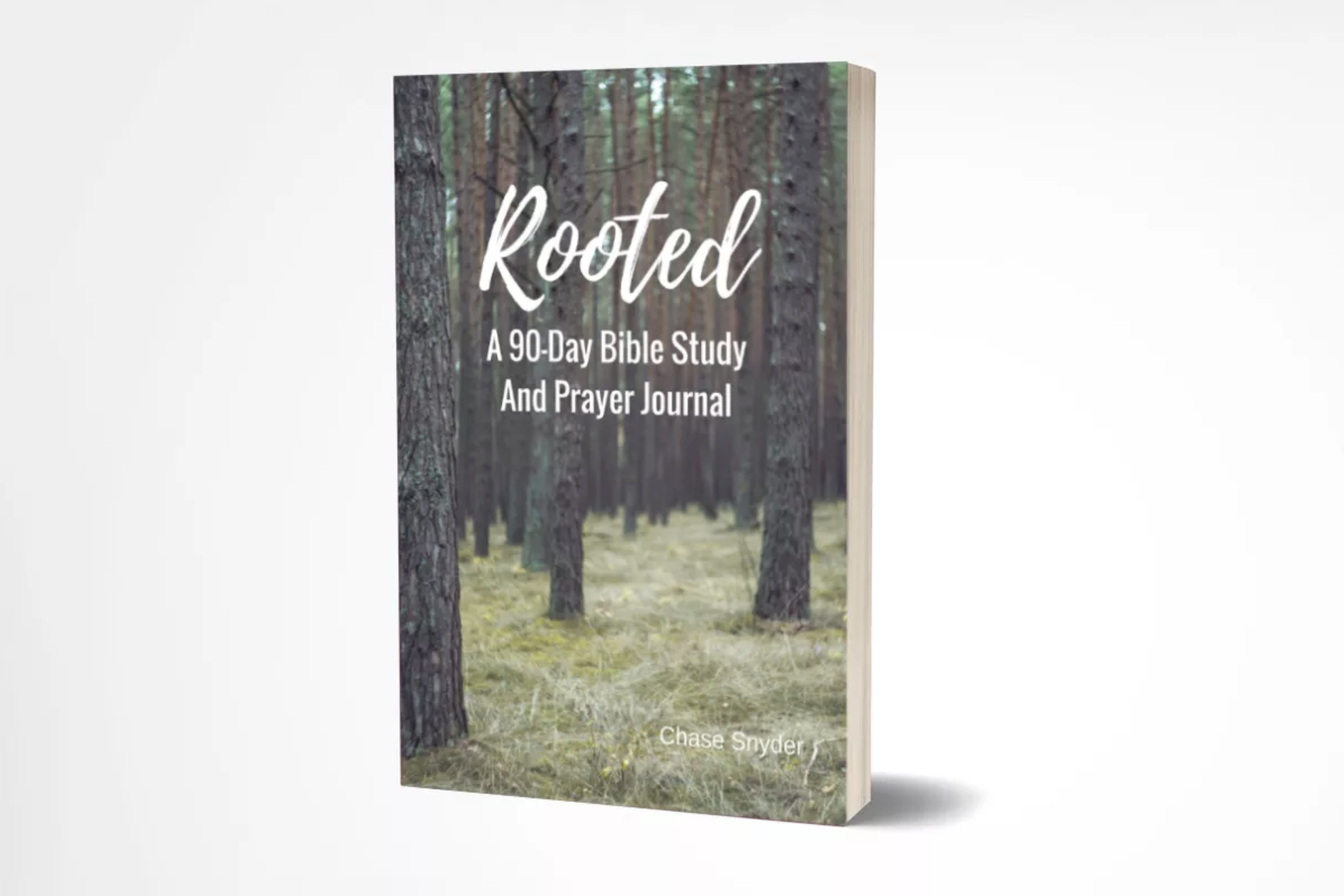 rooted-a-90-day-bible-study-and-prayer-journal-youthminstudies